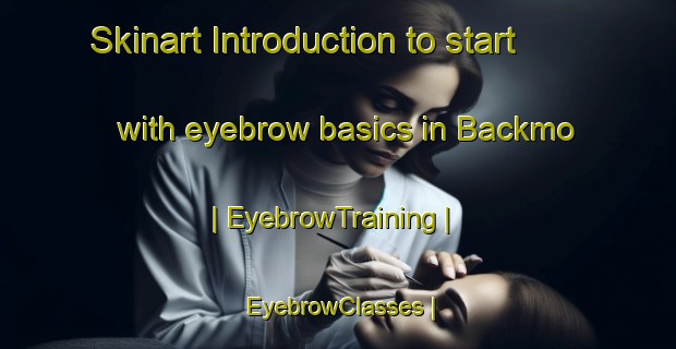 Skinart Introduction to start with eyebrow basics in Backmo | EyebrowTraining | EyebrowClasses | SkinartTraining-Sweden